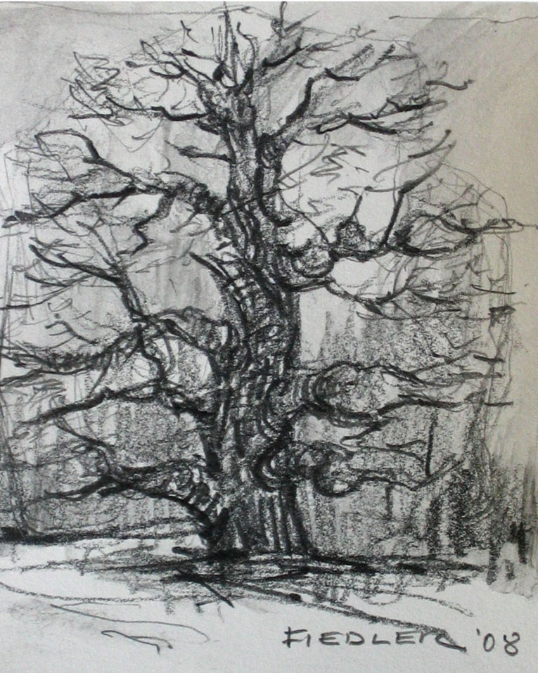 Eiche Forstenrieder Park II